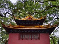 -普陀山风景名胜区-法雨禅寺