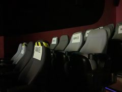 -中影嘉华国际影城(大芬星都里店)