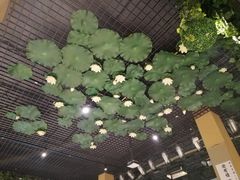 -福慧慈缘素食餐厅(王府井店)