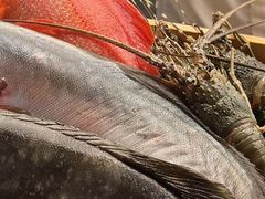 -鳥喜Toriki怀石烧鸟料理