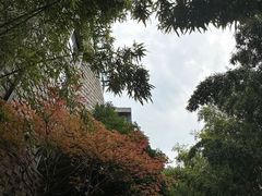 -苏州本色美术馆