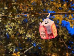 -毛辣果·酸(OHA复兴西路店)