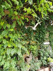 -青木造型HAIR·あおき髪を刈る潮人店