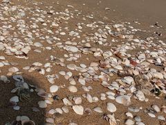 -东海岛旅游度假区