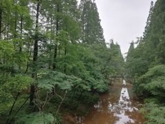 -黄海国家森林公园