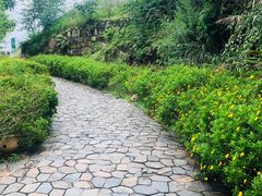-远山有窑