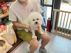 -宠物家(角门东店)