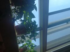 -比格比萨自助(国展店)