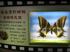 -上海昆虫博物馆