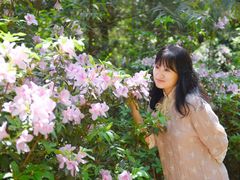 -铁山坪森林公园