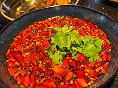 精品毛血旺-华豫川酒家(双子塔店)