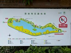 -华侨城湿地公园