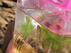 -青岛第三海水浴场