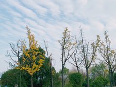 -白塘生态植物园