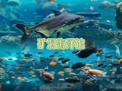 -长鹿旅游休博园