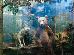 -国家自然博物馆