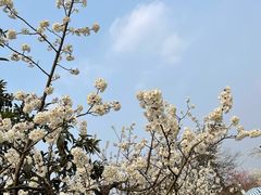 -国际非物质文化遗产博览园