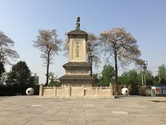 -西安青龙寺遗址景区