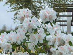 -苏州上方山国家森林公园