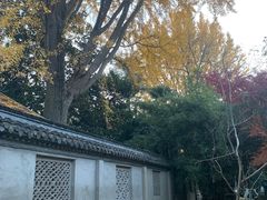 -水绘园