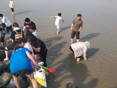 -南汇嘴观海公园