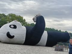 -苏州太湖国家湿地公园