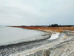 -盐湖景区
