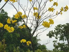 -谷丰健康凤贤居酒家