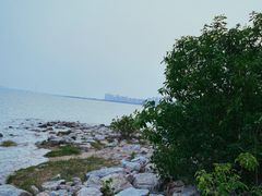 -深圳湾公园(南山区)