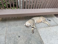 -臻儿屿月子会所(茶山店)