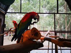 -清迈夜间动物园