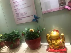 -本真坊美容美体沙龙