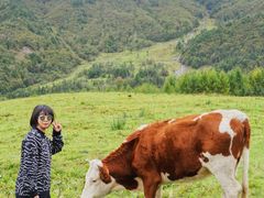 -硗碛藏寨·神木垒景区
