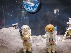 -济州岛泰迪熊博物馆