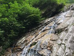 -青峰峡国家森林公园