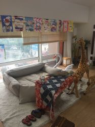 -蜜糖派儿童摄影(青建·太阳岛店)