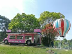 -铁山坪森林公园