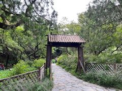 -香山公园