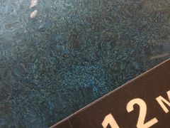 -海河假日酒店·游泳馆