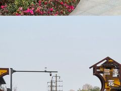-三圣花乡旅游区
