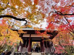 -常寂光寺