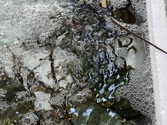 -板桥海鲜广场(文明东店)