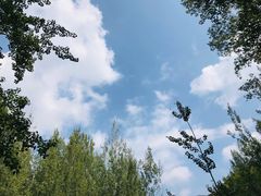 -百里山水画廊
