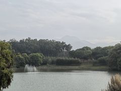 -福建鲤鱼洲酒店