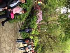 iphone_upload_pic-湖南烈士公园(芙蓉区)