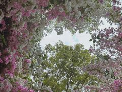 -深圳国际园林花卉博览园