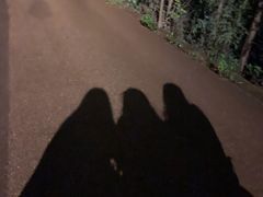 -长虫山生态公园风景林