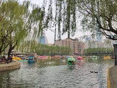 -团结湖公园