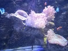 -石林冰雪海洋世界