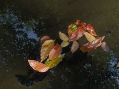 -大千画院(福田校区)